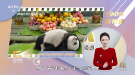 aiss爱丝高清视频看